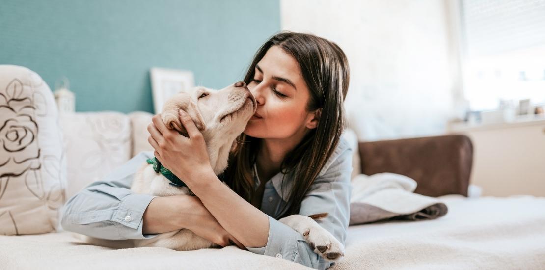 Seguro de animal de companhia